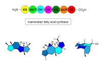 Molecules and Materials.jpg