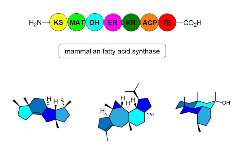 Molecules and Materials.jpg