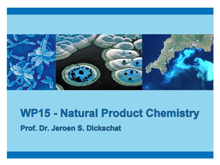 scriptum_natural-product-chemistry.pdf