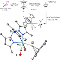 Mo-Sililydyne Complex