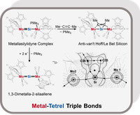 Metal-Tetrel Triple Bonds