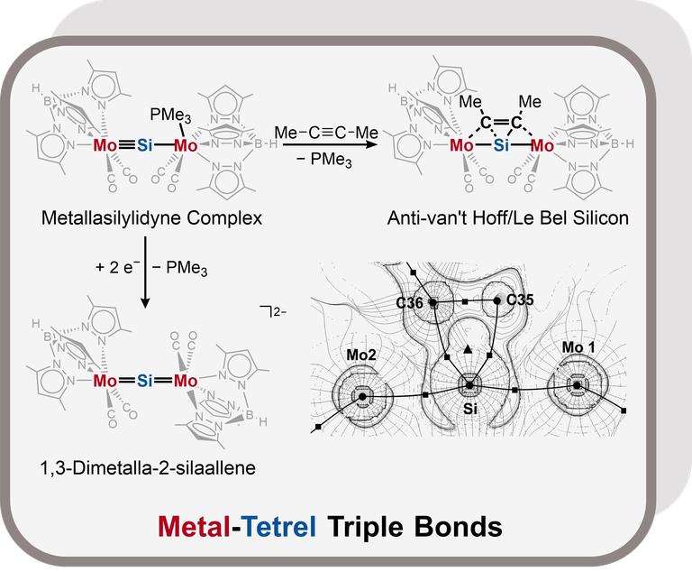 Metal-Tetrel Triple Bonds