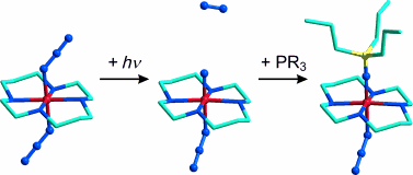 2013 - Nitridoeisen(V)-Komplex