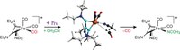 2017 - Die Femtochemie eines Ferracyclobutadiens