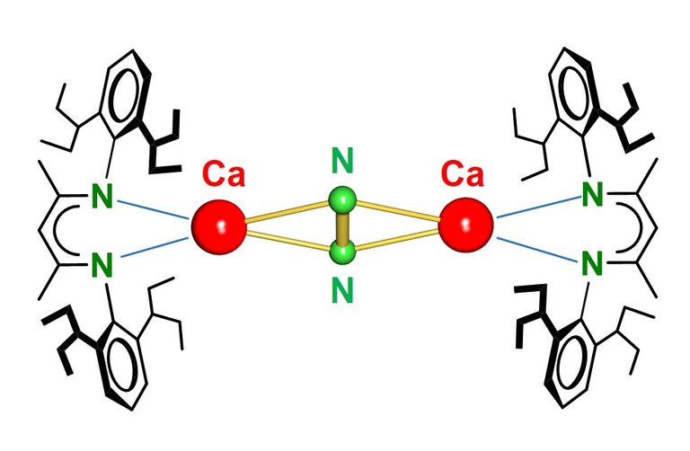 "Alkaline-Earths for Small Molecule Activation"