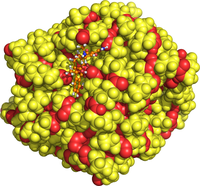 Adsorption of the antibiotic tetracycline on a nylon 6,6 (N66) nanoplastics particle