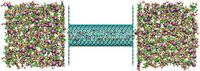 Simulation box of a carbon nanotube containing an ionic liquid.