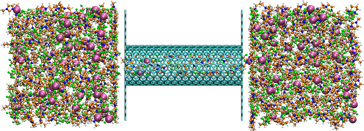 Simulation box of a carbon nanotube containing an ionic liquid.