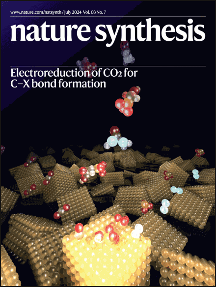 76 nature synthesis - vol 3, issue 7 - Jul 2024