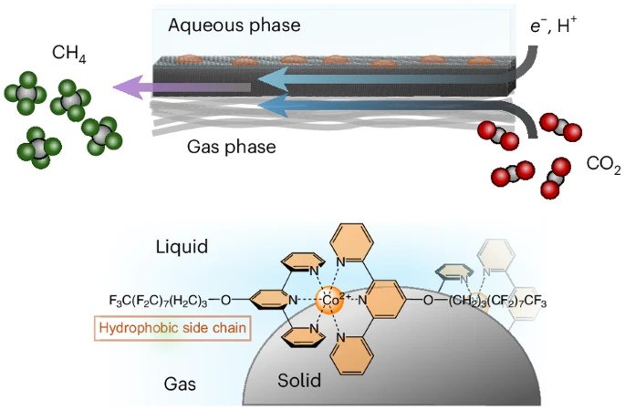 6m nature chemistry - vol 16, issue 10 - Oct 2024