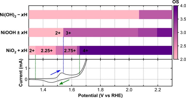 HB 11 Applied Materials and Interfaces - Dec 2024