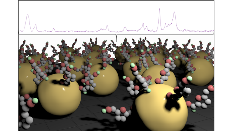 Nanomaterials and Plasmonics