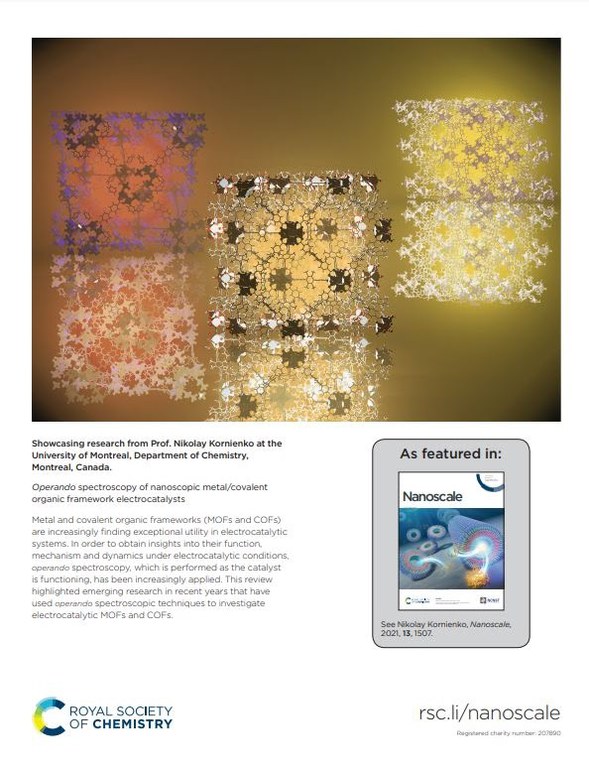 52 Nanoscale - issue 3 - 2021.JPG