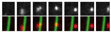 mRNA Export