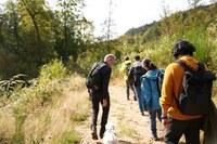 Group Hike