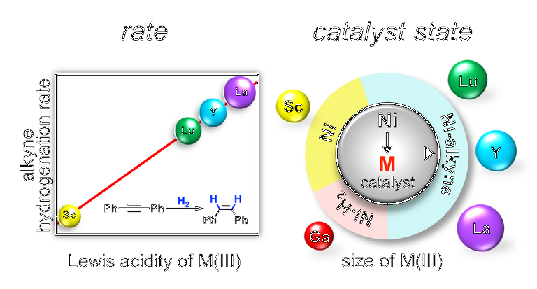 alkynecat_toc_final_0.png