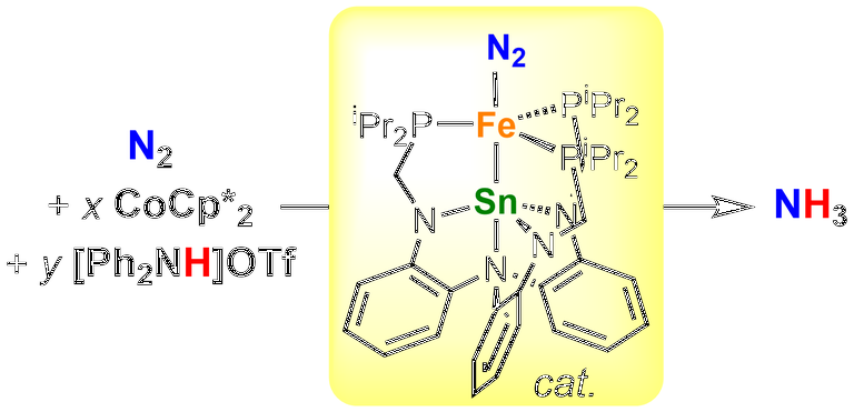 toc_fesn_catalyst_0.png