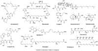 Molecules