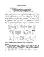 Eichelmann abstract_robert_eichelmann.pdf