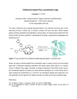 Nguyen Anh Tu Abstract KOPO 2024 Anh Tu  Nguyen.pdf