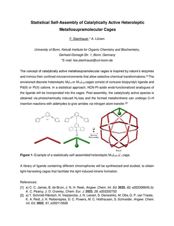 Steinhauer Fee Abstract KOPO  2024.pdf