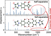 Charge Delocalization and Vibronic Couplings in Quadrupolar Squaraine Dyes