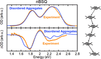 Structural Disorder as the Origin of Optical Properties and Spectral Dynamics in Squaraine Nano-Aggregates