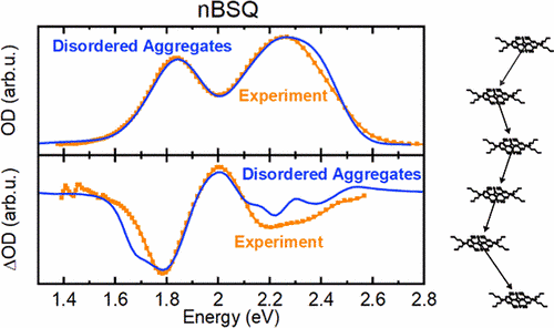 Structural Disorder as the Origin of Optical Properties and Spectral Dynamics in Squaraine Nano-Aggregates